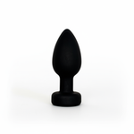 PLUG WITH APP