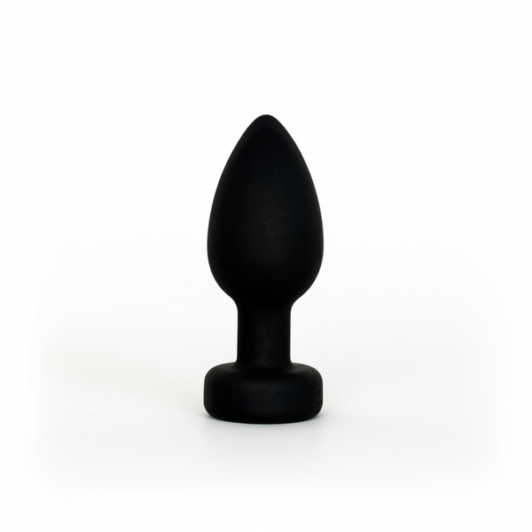PLUG WITH APP